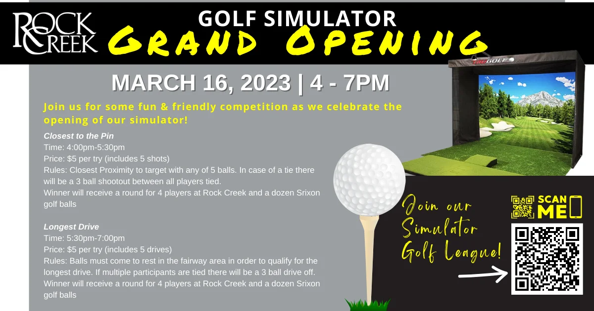 SIMULATOR LEAGUE & PLAY