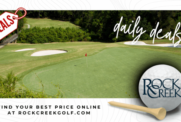 find your best price online with our daily deals